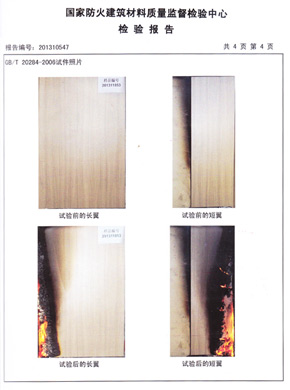 91免费看片网站抗倍特燃烧性能检验报告(中)