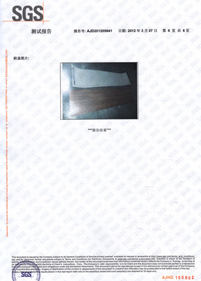 91免费看片网站检查报告SGS（中）