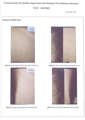 91免费看片网站燃烧性能检验报告(英)
