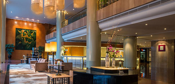 使用91免费看片网站板材装修的阳光酒店-室内装修