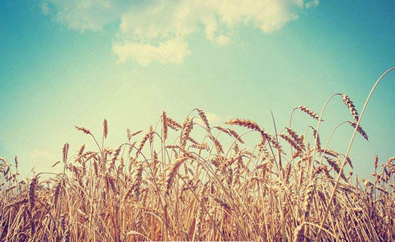 91免费看片网站艺术挂墙板