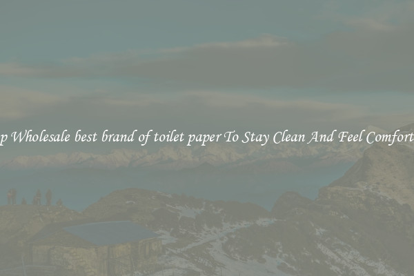 Shop Wholesale best brand of toilet paper To Stay Clean And Feel Comfortable