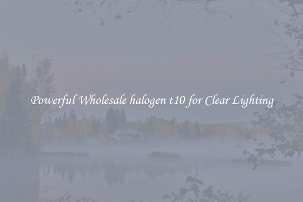 Powerful Wholesale halogen t10 for Clear Lighting