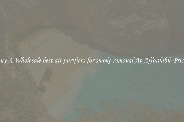 Buy A Wholesale best air purifiers for smoke removal At Affordable Prices