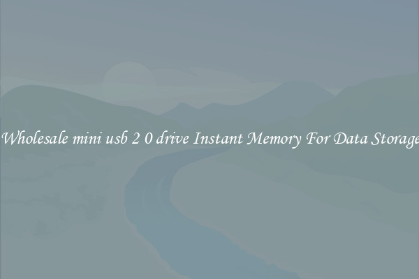 Wholesale mini usb 2 0 drive Instant Memory For Data Storage