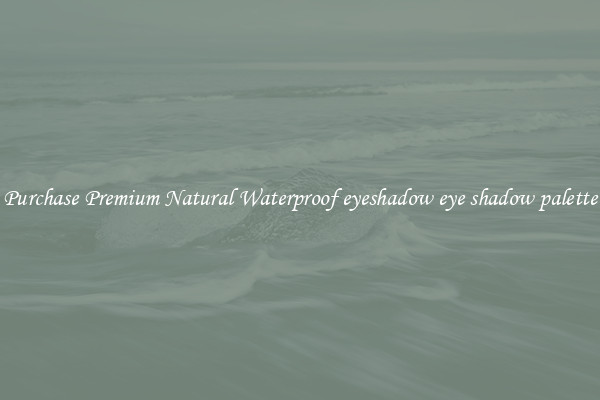 Purchase Premium Natural Waterproof eyeshadow eye shadow palette