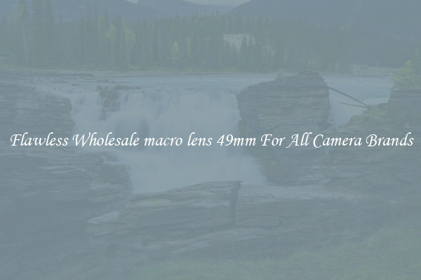 Flawless Wholesale macro lens 49mm For All Camera Brands