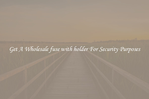 Get A Wholesale fuse with holder For Security Purposes