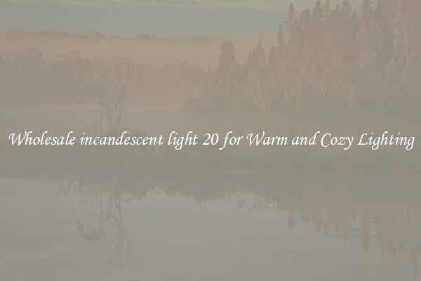 Wholesale incandescent light 20 for Warm and Cozy Lighting
