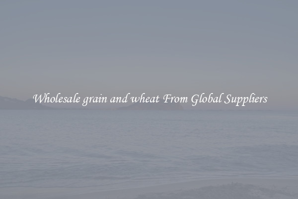 Wholesale grain and wheat From Global Suppliers