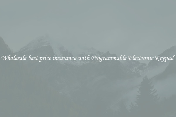 Wholesale best price insurance with Programmable Electronic Keypad 