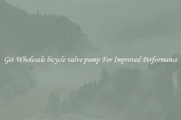 Get Wholesale bicycle valve pump For Improved Performance