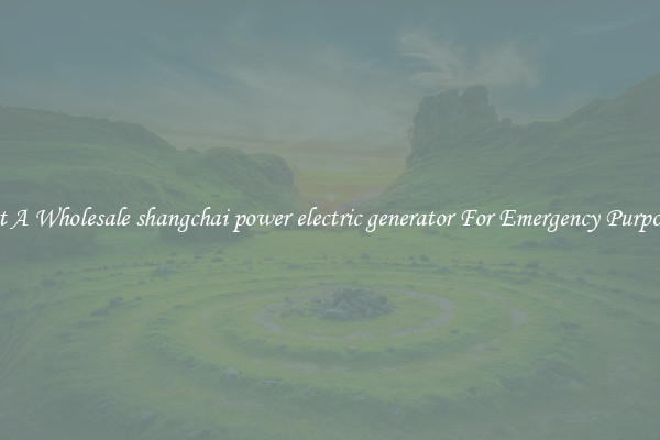 Get A Wholesale shangchai power electric generator For Emergency Purposes