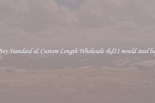 Buy Standard & Custom Length Wholesale skd11 mould steel bar