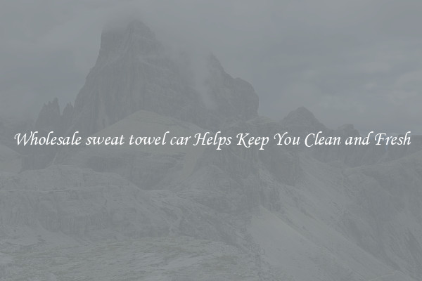 Wholesale sweat towel car Helps Keep You Clean and Fresh