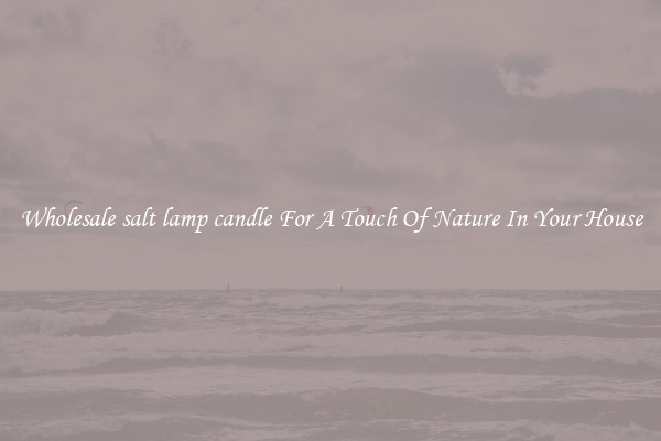 Wholesale salt lamp candle For A Touch Of Nature In Your House