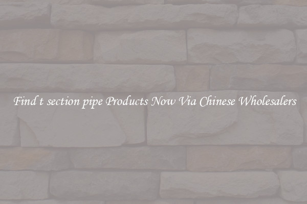 Find t section pipe Products Now Via Chinese Wholesalers