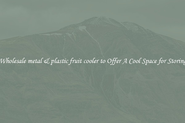Wholesale metal & plastic fruit cooler to Offer A Cool Space for Storing