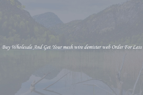 Buy Wholesale And Get Your mesh wire demister web Order For Less