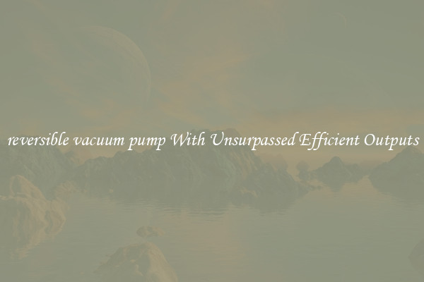 reversible vacuum pump With Unsurpassed Efficient Outputs