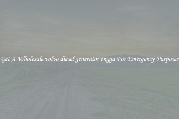 Get A Wholesale volvo diesel generator engga For Emergency Purposes