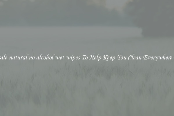 Wholesale natural no alcohol wet wipes To Help Keep You Clean Everywhere You Go