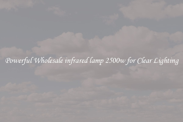 Powerful Wholesale infrared lamp 2500w for Clear Lighting