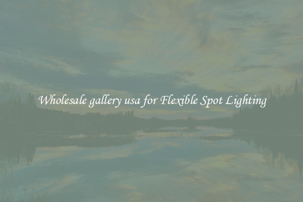Wholesale gallery usa for Flexible Spot Lighting