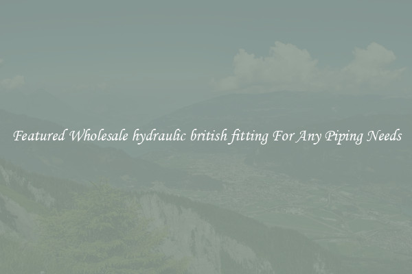 Featured Wholesale hydraulic british fitting For Any Piping Needs