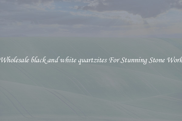 Wholesale black and white quartzites For Stunning Stone Work