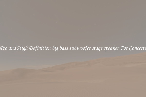 Pro and High Definition big bass subwoofer stage speaker For Concerts