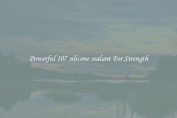 Powerful 107 silicone sealant For Strength