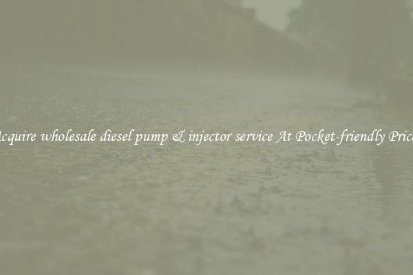 Acquire wholesale diesel pump & injector service At Pocket-friendly Prices